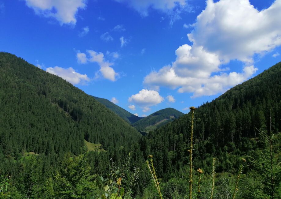 Панорамні краєвиди