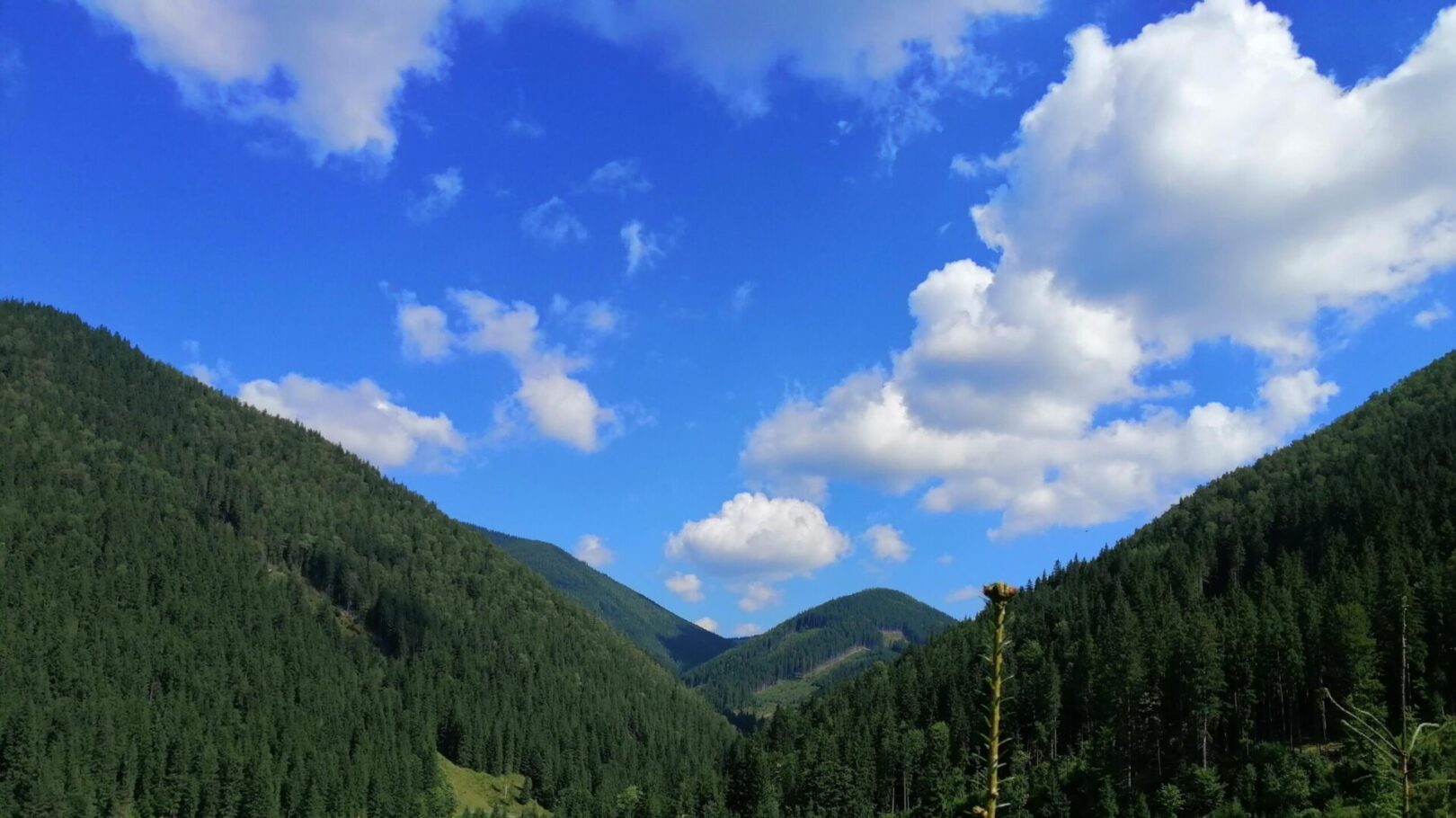 Панорамні краєвиди