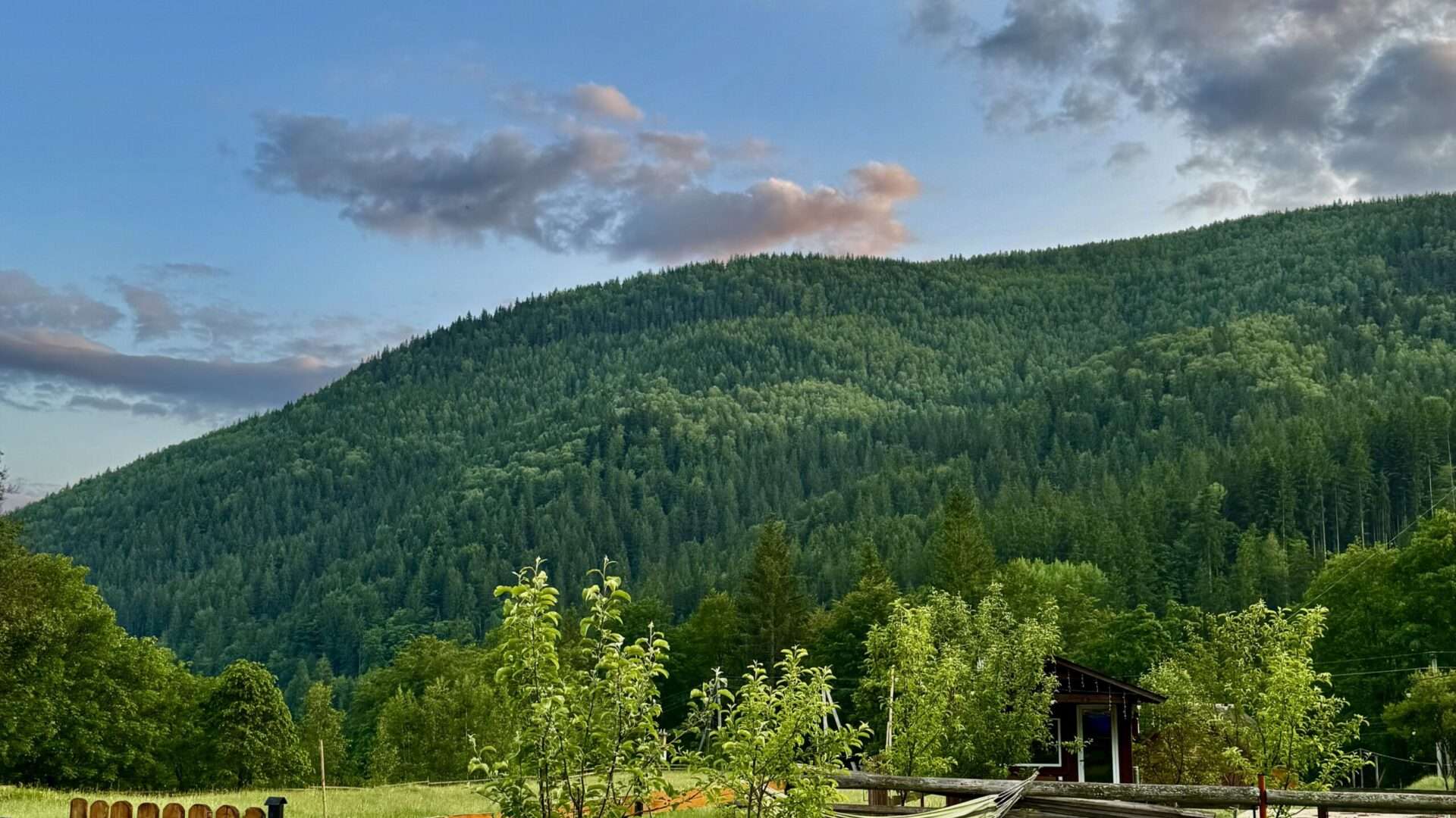 Весняний відпочинок у Карпатах: перезавантаження у Маєтку Діда